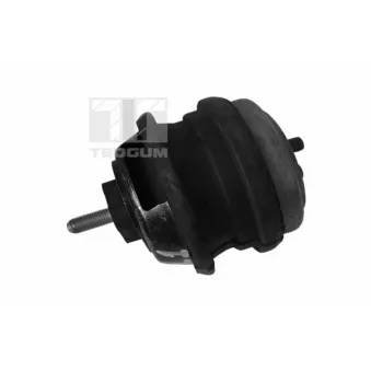 TEDGUM 00089478 - Support moteur avant droit