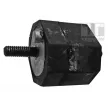 TEDGUM 00089703 - Support moteur