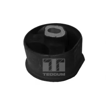 TEDGUM 00133800 - Support moteur