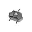 Support moteur TEDGUM [00161278]
