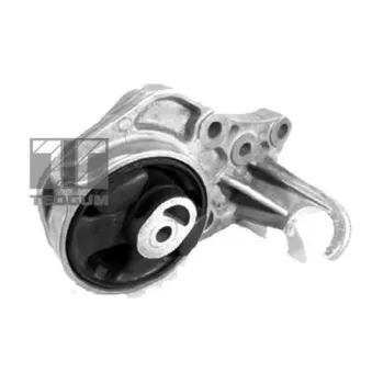 TEDGUM 00190434 - Support moteur