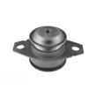 TEDGUM 00213221 - Support moteur avant gauche