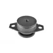 TEDGUM 00213221 - Support moteur avant gauche