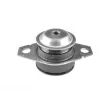 TEDGUM 00213222 - Support moteur avant droit