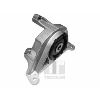 Support moteur avant gauche TEDGUM OEM 46759737