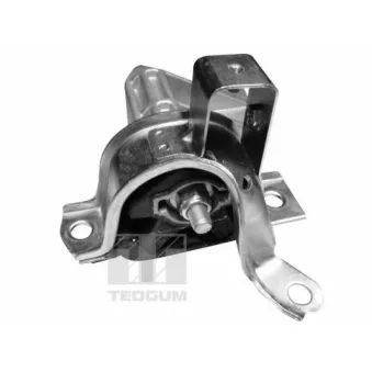 Support moteur TEDGUM 00215781