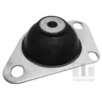 Support moteur TEDGUM 00216214