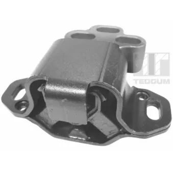 TEDGUM 00224363 - Support moteur avant droit