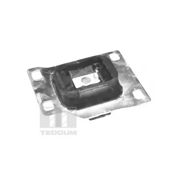 TEDGUM 00228080 - Support moteur avant gauche