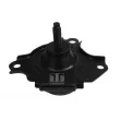 Support moteur avant droit TEDGUM [00262046]