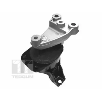TEDGUM 00263047 - Support moteur