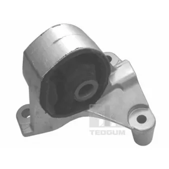 TEDGUM 00264833 - Support moteur