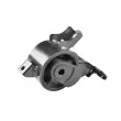 TEDGUM 00264914 - Support moteur avant gauche