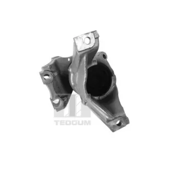 TEDGUM 00269182 - Support moteur avant droit