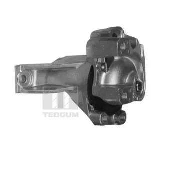Support moteur avant droit TEDGUM OEM 50820SWET01