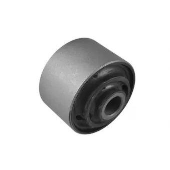 Silent bloc de suspension (train arrière) TEDGUM OEM HQ213101