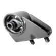 TEDGUM 00392127 - Support moteur