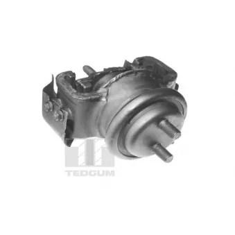 Support moteur TEDGUM 00395115