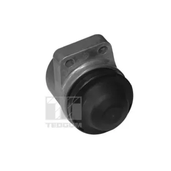 Support moteur avant droit TEDGUM OEM EG213906Y