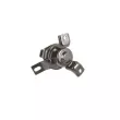 TEDGUM 00441120 - Support moteur avant droit