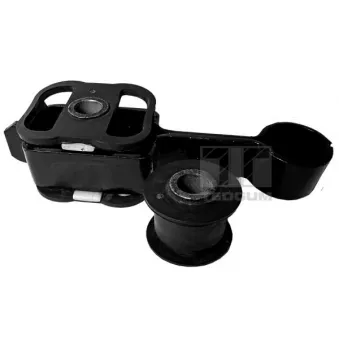 Support moteur TEDGUM [00460233]