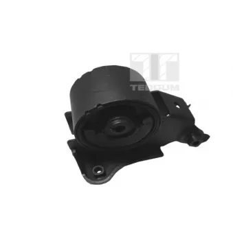 Support moteur TEDGUM OEM 113218H800