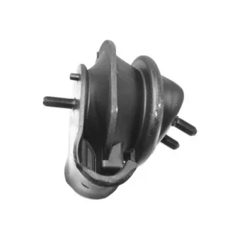 Support moteur avant gauche TEDGUM 00461993