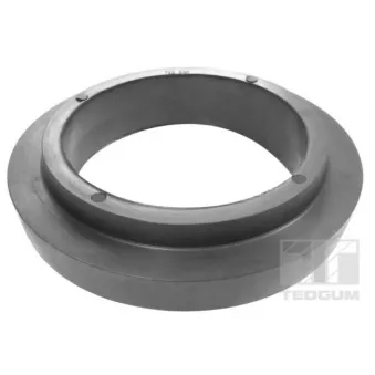 Patin de ressort TEDGUM 00465816