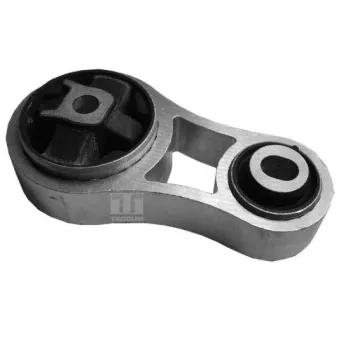 Support moteur TEDGUM OEM 4411944