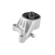 TEDGUM 00504628 - Support moteur