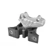 TEDGUM 00504656 - Support moteur avant droit