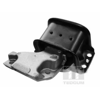 Support moteur avant droit TEDGUM OEM 1839H7