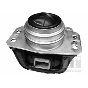 Support moteur avant droit TEDGUM OEM 1807GF