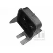 TEDGUM 00585581 - Bandes de caoutchouc, échappement