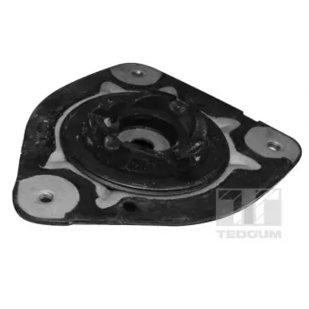 Support de jambe de suspension TEDGUM OEM 543200002R