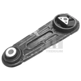 Support moteur TEDGUM OEM 8200042453