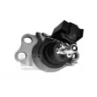 TEDGUM 00586865 - Support moteur avant droit