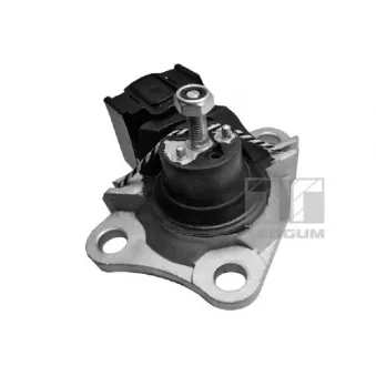 Support moteur avant droit TEDGUM OEM 8200267624
