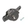 TEDGUM 00649871 - Support moteur avant droit