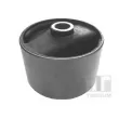 TEDGUM 00671308 - Support moteur