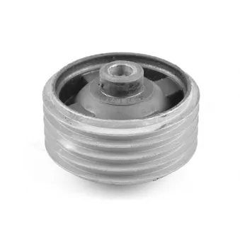 Support moteur TEDGUM OEM 43TO129