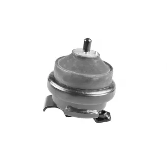 Support moteur TEDGUM OEM 191199279B