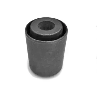 Suspension, support de boîte de vitesse manuelle TEDGUM OEM 701399661