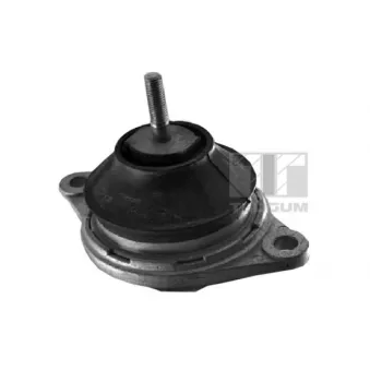 Support moteur avant droit TEDGUM [00729824]