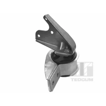 Support moteur arrière gauche TEDGUM OEM 0005810V003000000
