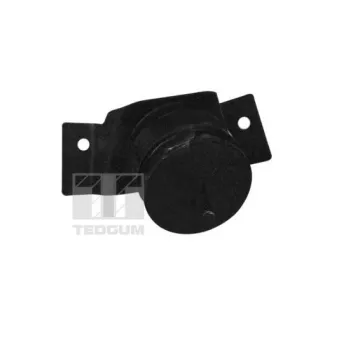 TEDGUM 01109649 - Support moteur avant gauche