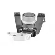 TEDGUM TED11486 - Support moteur avant droit