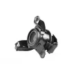 TEDGUM TED13667 - Support moteur avant droit