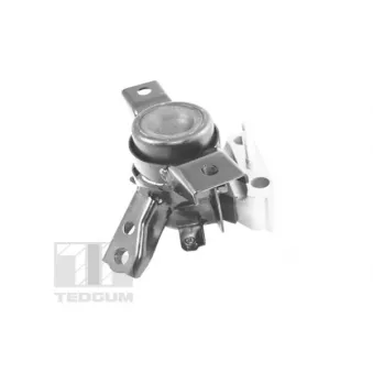 Support moteur TEDGUM TED13922