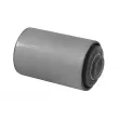 TEDGUM TED20757 - Suspension, ressort à lames